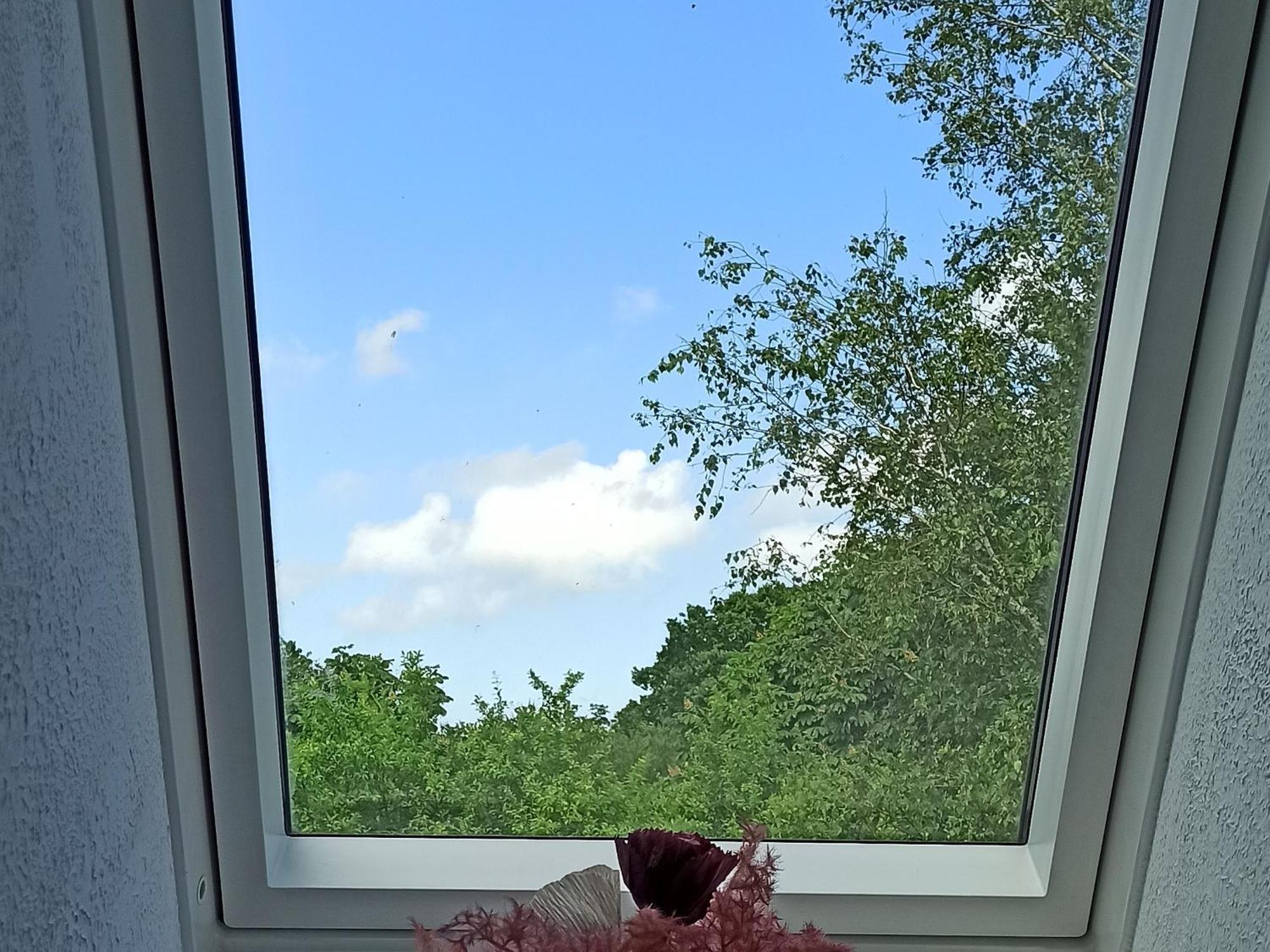 Ferienwohnung Kleiner Und Grosser Stern Stoltebüll Екстериор снимка